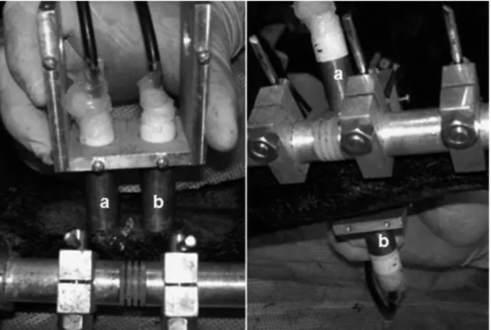 Figure 2 - Ultrasound velocity measurement, showing the ultrasound transducers (a and b) parallel to each other for the axial modality (left) and in opposition to each other for the transverse modality (right).