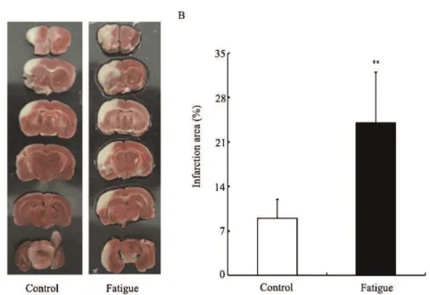 Figure 2A shows the plasma changes in PT, APTT and TT in the fatigued and control groups