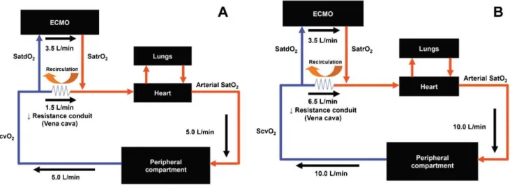 Figure 2 - Panel A shows the systemic arterial content of oxygen as a function of ECMO blood flow, and Panel B shows the expected PO 2