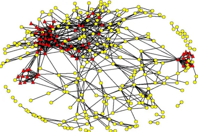 Figure 5.3: Graph induced by the attribute set {search, rank} in the DBLP dataset