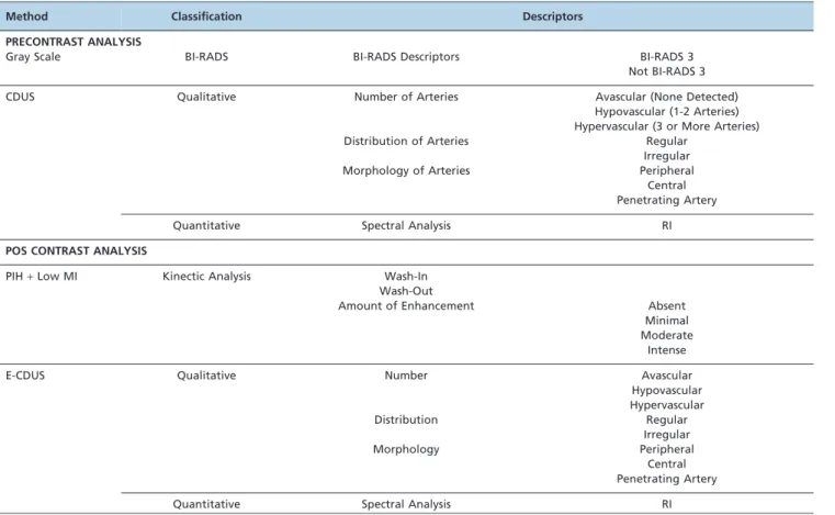Table 1 - Methods and descriptors used to classify lesions.