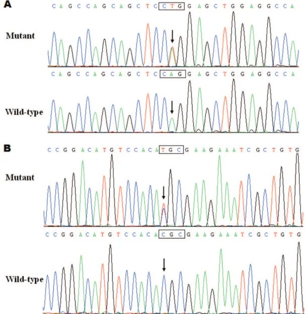 Figure 2 - A schematic representation of the PITX2c protein structure with the atrial fibrillation-related mutations indicated