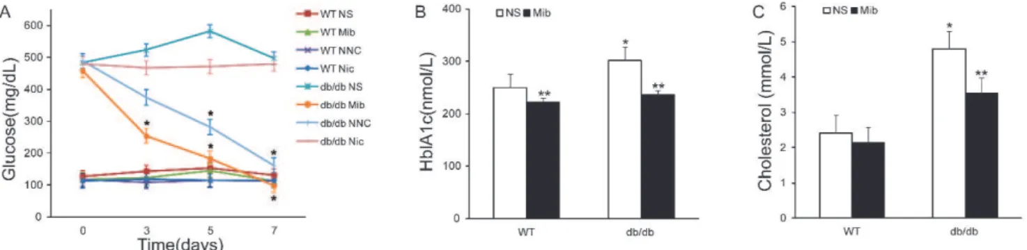 Figure 2 - The hypoglycemic and hypolipidemic effects of Ca 2+ channel antagonists in db/db mice