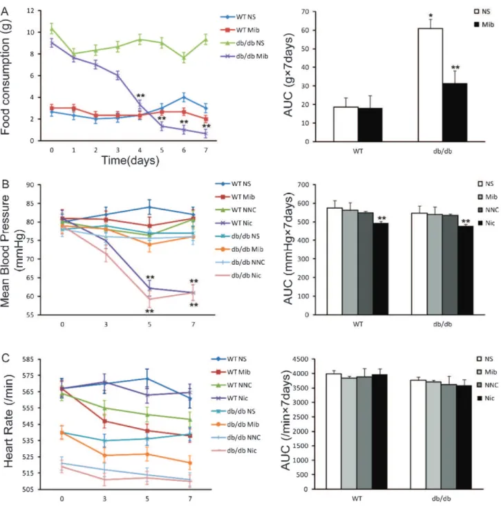Figure 5 shows that the expression of a 1G and a 1H was higher in db/db liver (Figure 5B and 5D) and brain (Figure 5F and 5H) preparations compared to those in the wild-type animals.