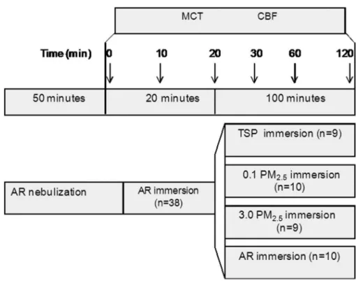 Table 1 - Trace elements detected in particulate matter in TSP and urban PM 2.5 samples determined by energy dispersive X-ray fluorescence