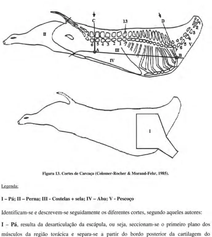 Figura  13.  Cortes  de Carcaça  (Colomer-Rocher  &amp;  Morand-Fehr,  1985).