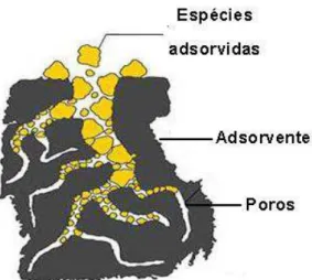 Figura 3.1. Adsorção de espécies em um adsorvente poroso (Adaptado de Pereira et al.,  2003)