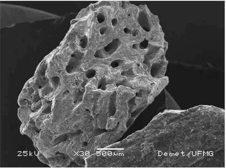 Figura 3.3. Estrutura porosa do carvão de ossos bovinos (Guedes et al., 2005). 