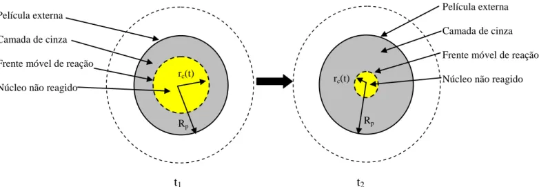 Figura 4.1. Regiões da partícula de carvão de ossos com o tempo segundo o modelo  topoquímico, em que t 2  &gt; t 1 