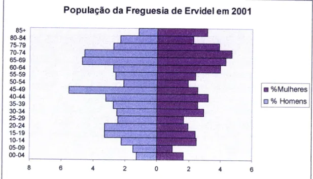 Gráfico  9: Fonte  -  anexo  n.o5