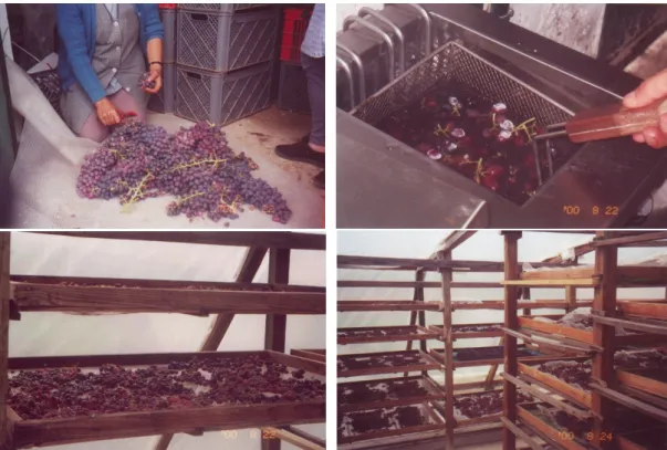 Figure 2: Preparative techniques for solar drying