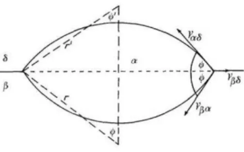 Figura 3.4: Forma de um precipitado no contorno de grão da matriz (23) . 