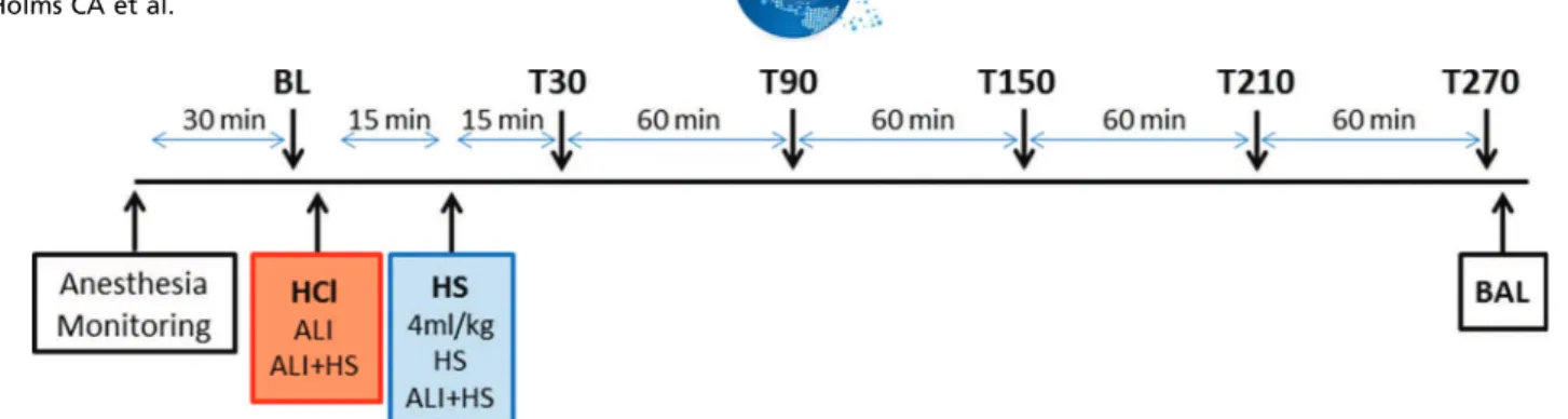 Figure 1 - Study design.