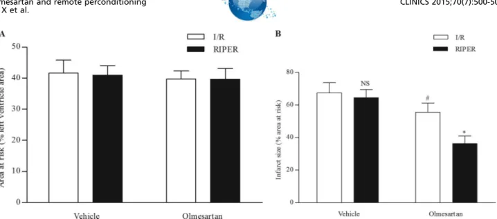 Figure 3 - Effect of RIPER on arrhythmia scores during ischemia and reperfusion. (A) RIPER had no effect on the severity of arrhythmias during ischemia
