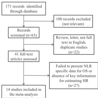 Figure 1 - Methodological flow diagram of the meta-analysis.