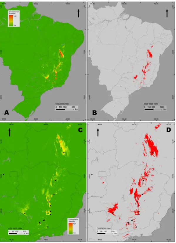 Figura 6. Resultado logístico da modelagem de distribuição (MD) para os campos rupestres (década de  2020, AUC = 0.988), com a utilização do modelo climático CCCma-CGCm2, em um cenário otimista  (B2A), para todo o Brasil (A) e para o sudeste Brasileiro (C)