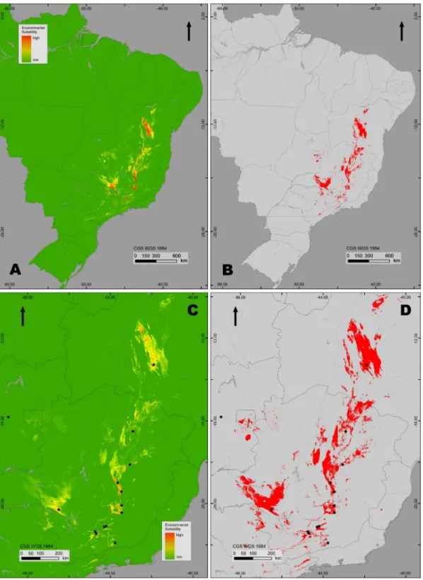 Figura 7. Resultado logístico da modelagem de distribuição (MD) para os campos rupestres (década de  2020, AUC = 0.988), com a utilização do modelo climático HADcm3, em um cenário otimista (B2A),  para todo o Brasil (A) e para o sudeste Brasileiro (C); e c