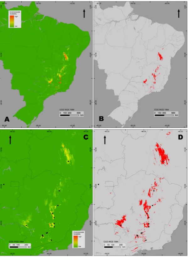Figura 8. Resultado logístico da modelagem de distribuição (MD) para os campos rupestres (década de  2050, AUC = 0.988), com a utilização do modelo climático CCCma-CGCm2, em um cenário otimista  (B2A), para todo o Brasil (A) e para o sudeste Brasileiro (C)