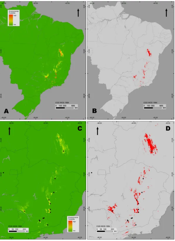 Figura 10. Resultado logístico da modelagem de distribuição (MD) para os campos rupestres (década de  2080, AUC = 0.988), com a utilização do modelo climático CCCma-CGCm2, em um cenário otimista  (B2A), para todo o Brasil (A) e para o sudeste Brasileiro (C