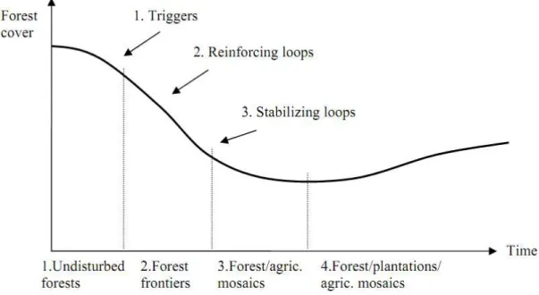 Figura 3: Estágios da transição florestal, baseada na curva ambiental de Kuznets.  Fonte: Angelsen 2007