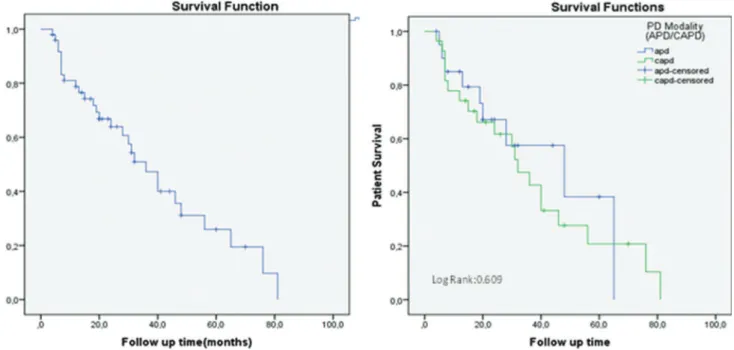 Table 4 - Multivariate Cox proportional hazards model for patient survival