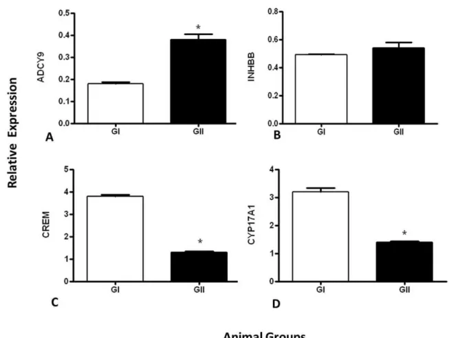 Figure 1 - Values of ADCY9, INHBB, CREM and CYP17A1 gene expression relative to b-actin