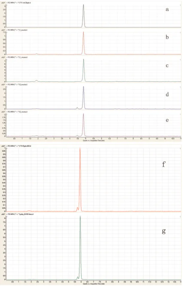 Figure 1 - The figure MRM chromatogram of TTX standard and Goby samples. (a) and (f): TTX standard; (b): muscle of Amoya caninus;