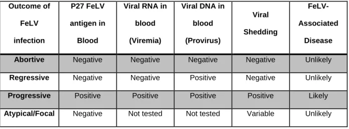 Table  1:  Main  clinical  and  laboratory  changes  observed  in  each  stage  of  FeLV-infection  (adapted from Hartmann, 2012b)