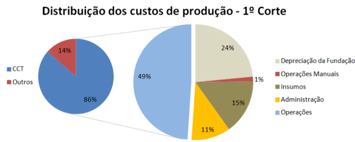 FIGURA 8 - Distribuição dos custos de produção de cana-de-açúcar para o 1º Corte.  Fonte: Agrianual - AgraFNP, 2010