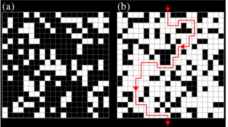 Figura 2  – Ilustração da teoria da percolação: a) paisagem sem conectividade;  b) paisagem com conectividade entre os fragmentos