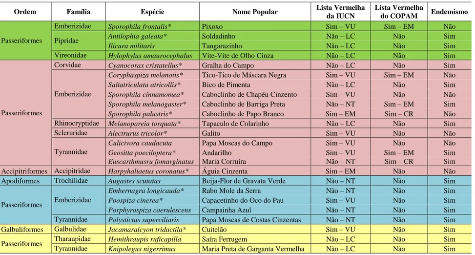 Tabela 1  – Espécies de aves com médio e alto potencial para indicação de espécies focais na área de estudo, selecionadas a partir de  características ecológicas