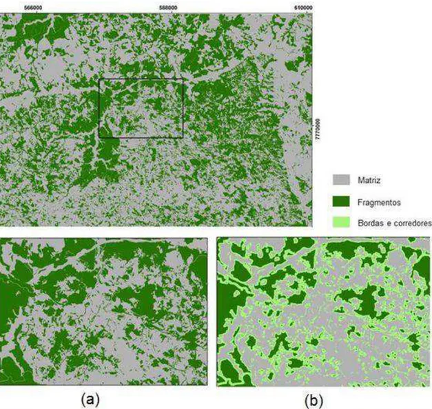 Figura 4  – Fragmentos florestais na área de estudo: (a) fragmentos; (b) efeito de borda  de 100 metros que assume função de stepping stones ou corredores quando  os  fragmentos  são pouco representativos  em  sua área