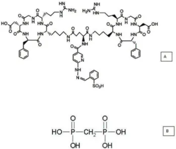 Figure 1 - Structure of conjugated HYNIC-E[c(RGDfK)] 2 (A) and methylene diphosphonic acid (MDP) (B).