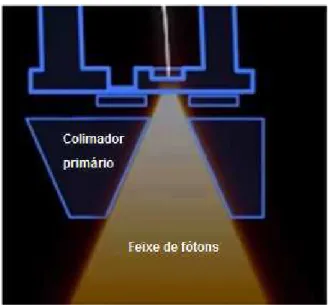 Figura 7. Colimador primário. 