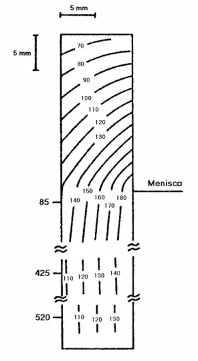 Figura 3.13  -  Perfil térmico na parede do molde de um tarugo. 