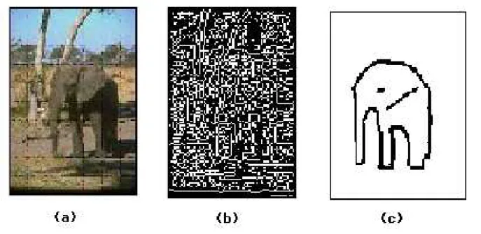 Figura 1.3: (a) Exemplo de uma imagem original colorida; (b) seu mapa de bordas; e (c) exemplo de uma esbo¸co de um contorno externo fechado.