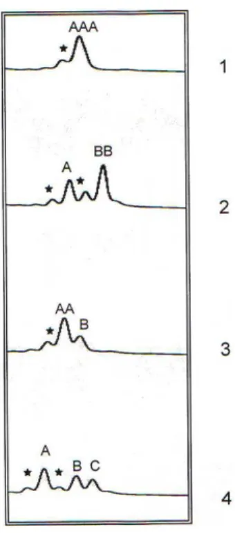 Figura 1: A canaleta 1 representa o padr˜ao de 1 pico, as canaletas 2 e 3 representa o padr˜ ao de 2 picos e a canaleta 4 representa o padr˜ao de 3 picos