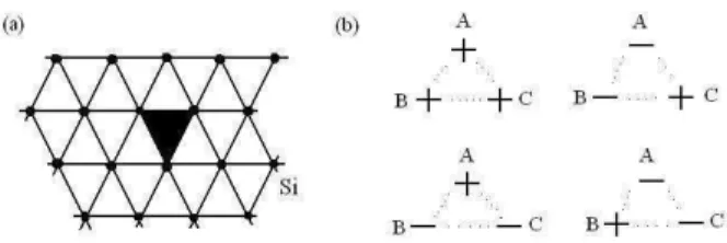 Figura 1.1: (a) Esbo¸co da rede cristalina triangular, destacando a intera¸c˜ao de tripletos definida sobre as faces elementares da rede