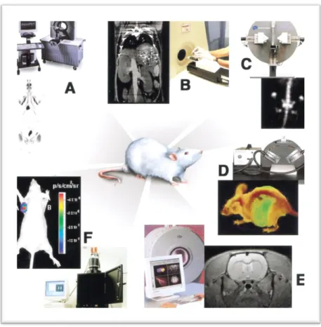 Figure 1.2 - Multiple imaging modalities are available for small-animal molecular imaging