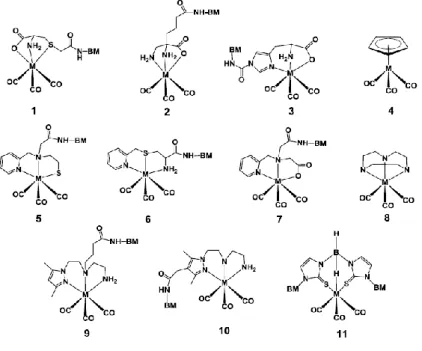 Figure  1.12  -  Examples  of  M(CO) 3 -complexes  stabilized  by  various  types  of  chelating  agents  (BM  =  biomolecule;  M  =  Re/ 99m Tc)