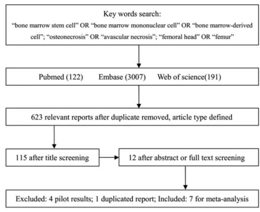 Figure 1 - Flowchart of the selection process for the meta-analysis.