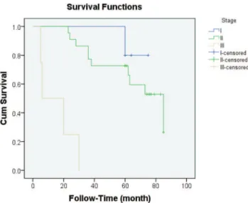 Figure 6 - Survival curves of patients with different stages of endometrial cancer.