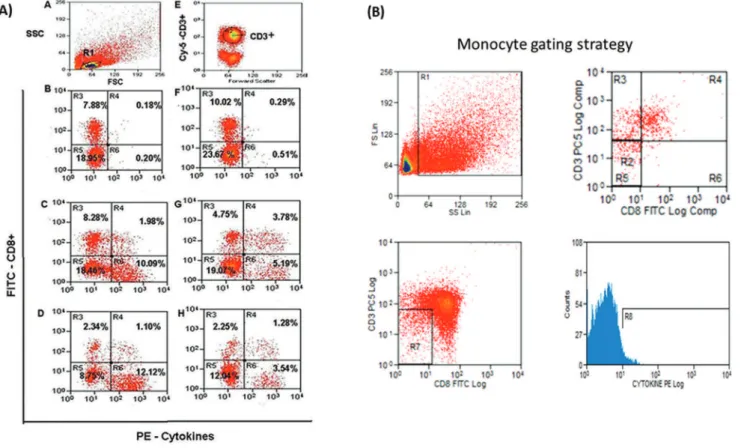 Figure 1 - Flow cytometric evaluation. (A) T. cruzi -stimulated cells. Lymphocytes in the R1 region based on the SSC/FSC (Side Scatter/Forward Scatter) ratio; (E) CD3 surface marker staining on lymphocytes gated in R1; (B, C, D, F, G, H) CD8 surface- and i