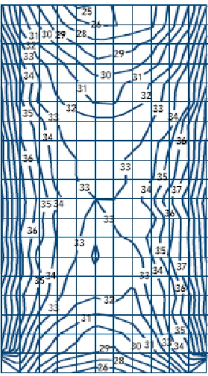 Figura  3 -  Mapa de irradiação, GammaCell ®  3000 Elan, com doses de irradiação de 33Gy no centro do  copo e um mínimo de 25Gy