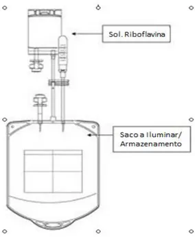 Figura 6 - Kit preparação de plasma e plaquetas. Sacos de conexão e 35ml de riboflavina (50  mol/L) 
