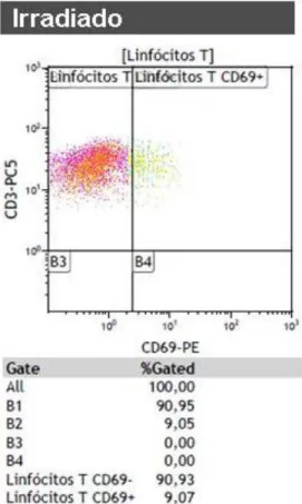 Figura 12 – Amostra inactivada com riboflavina  pelo método PRT. Determinada a percentagem  de linfócitos T, CD3 que ainda tem capacidade  para expressar o CD69.