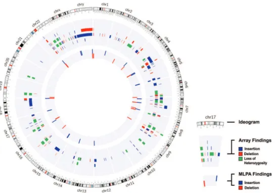 Figure 1 - Cytogenomic map of the raw data of all alterations identified via the MLPA and array techniques