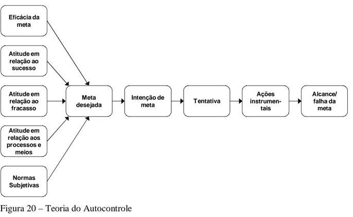 Figura 20 – Teoria do Autocontrole 