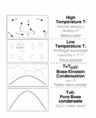 Figura 4.1: Condensados de Bose-Einstein ocorrem quando o com- com-primento de onda de de Broglie dos ´ atomos se torna maior que seu espa¸camento m´edio