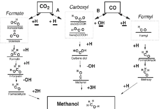 Figura 1: Supostas rotas para a síntese de metanol sobre catalisadores contendo ZnO. 